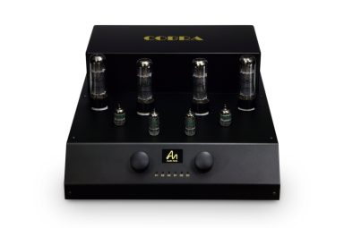 Audio Note Vollverstärker m. integrierten DAC