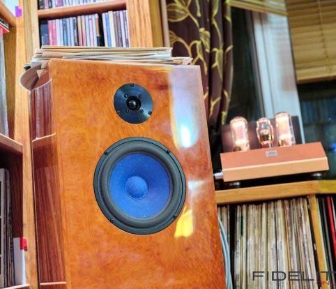 Holzlautsprecher mit blauem Hanf Lautsprecher, Audio Note Röhrenendstufe und Bücherregal mit Venylpla im Hintergrund.