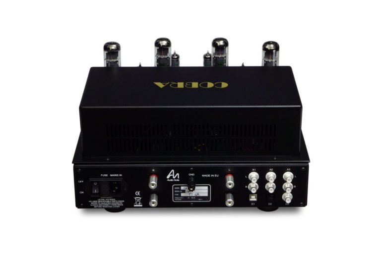 Rückseite der schwarzer Röhren-Vollverstärker mit mehreren Anschlüssen.